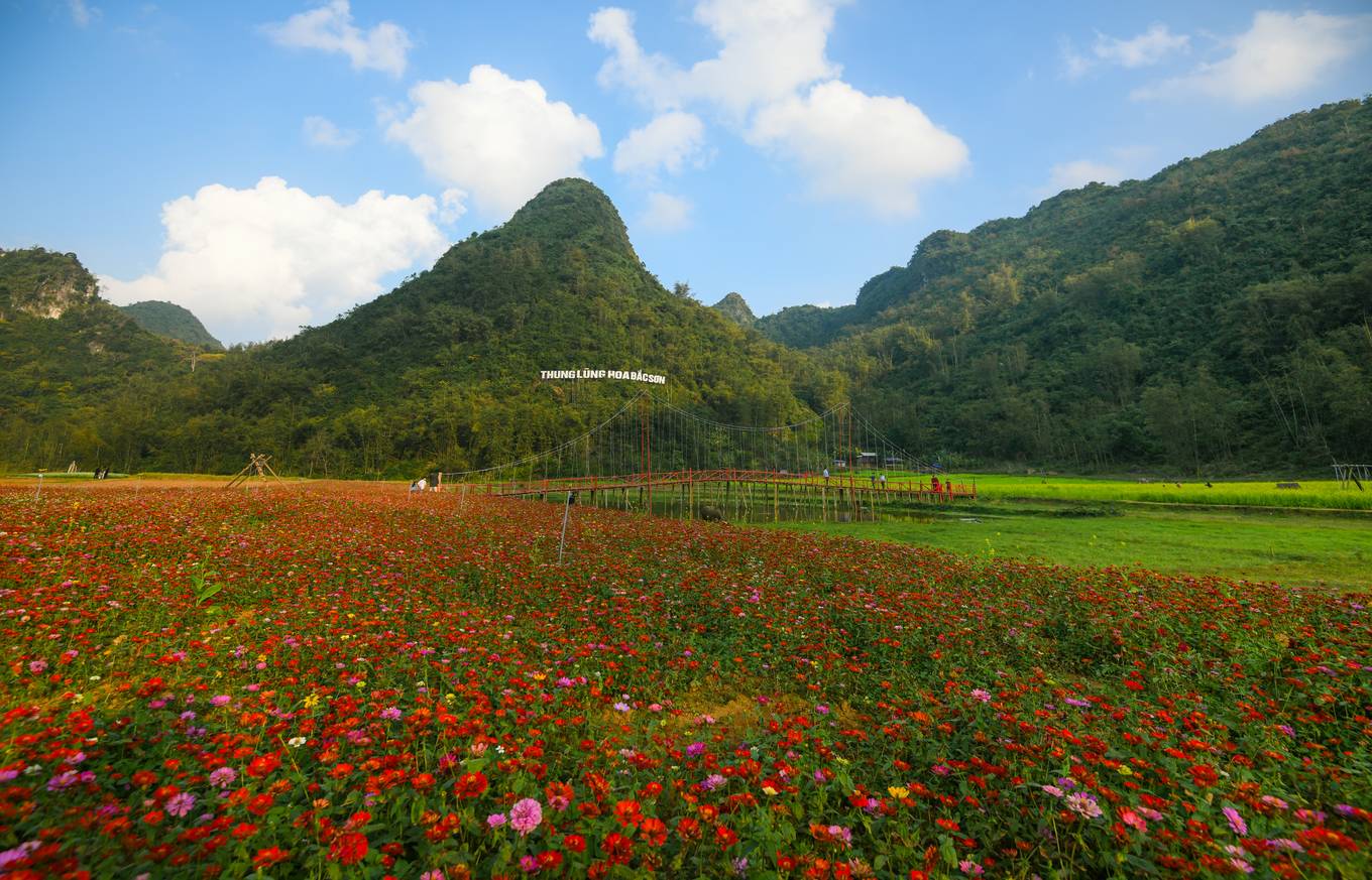 Bên[-]trong[-]thung[-]lũng[-]hoa[-]lớn[-]nhất[-]Việt[-]Nam